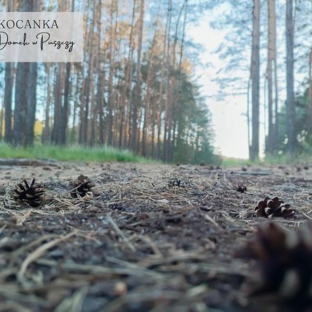 Domek W Puszczy ,,Kocanka" Mezyk Exteriör bild