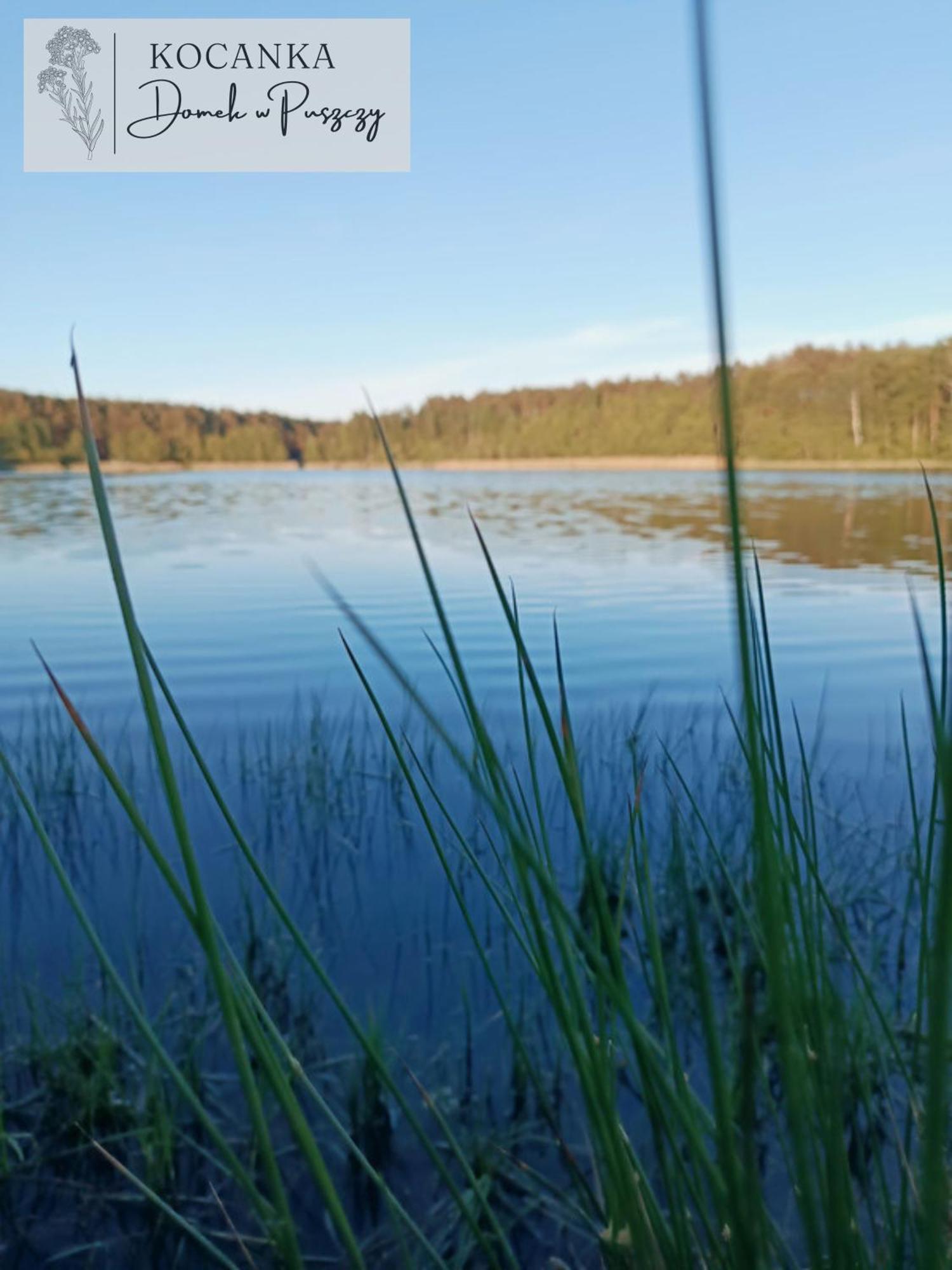 Domek W Puszczy ,,Kocanka" Mezyk Exteriör bild