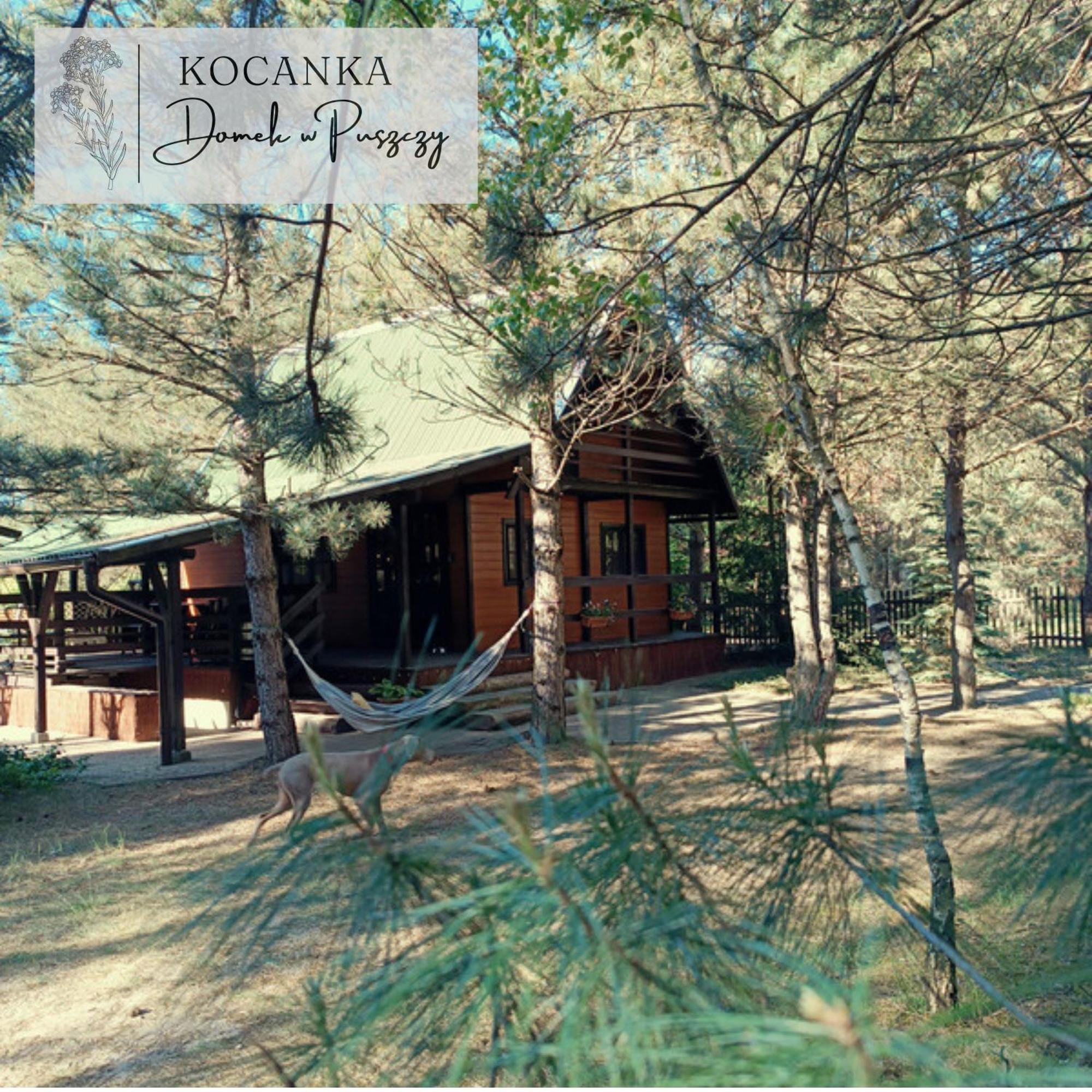 Domek W Puszczy ,,Kocanka" Mezyk Exteriör bild